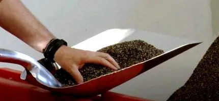 држава