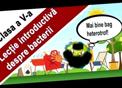 fürdő platelhelminthes