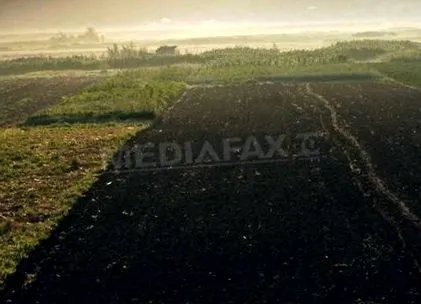 mezőgazdasági tábori
