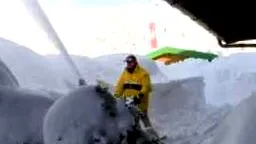 светско