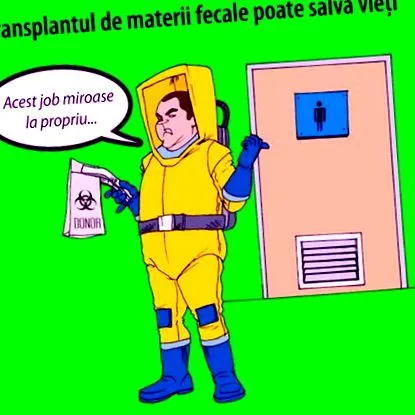 bélflóra