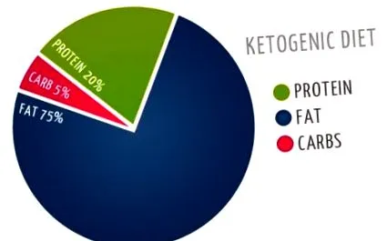 ketogén