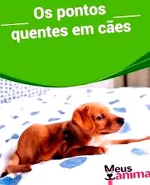 psov psov