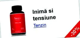 törzs