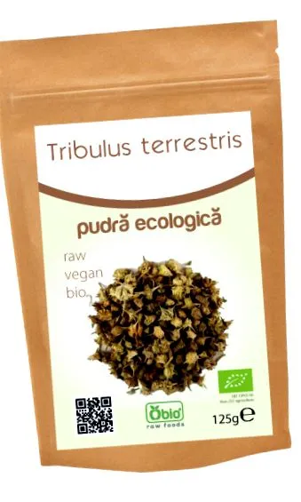 terrestris