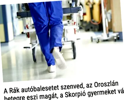 жаль жаль