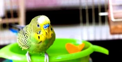 съвети охлаждане