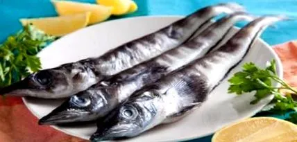 ледена риба icefish