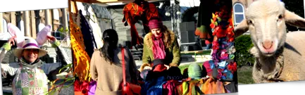 colorate buda