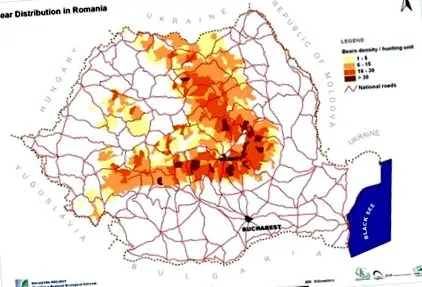 húsevők