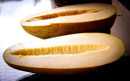 zöldbabjában