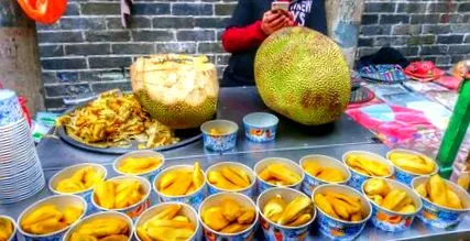 nyomában