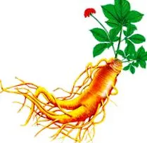 vitabay