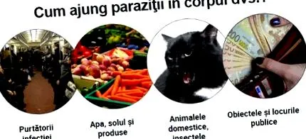 попуст цена