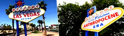шега