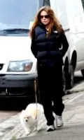 маленькі тваринки