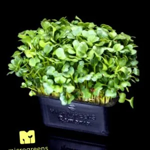microgreens