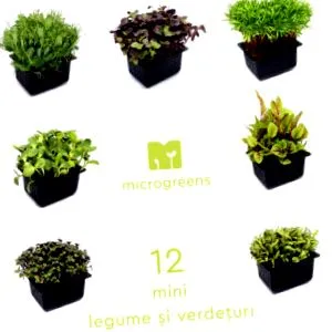 microgreens