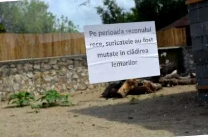 градина зоолошката
