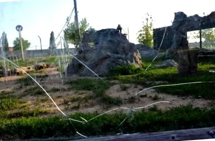 градина проширена