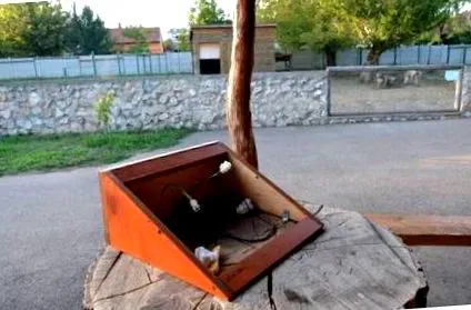 проширена дивееше