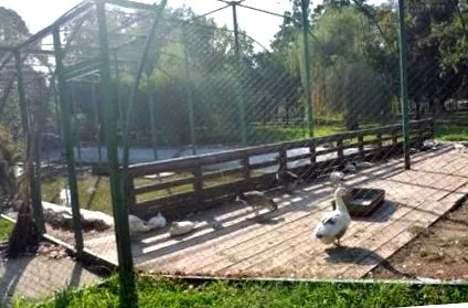 зоолошката градина
