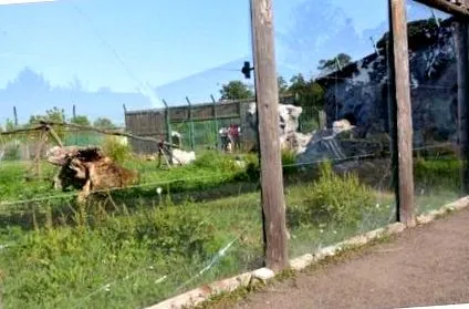 зоолошката повторно