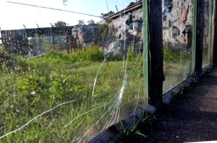 градина повторно