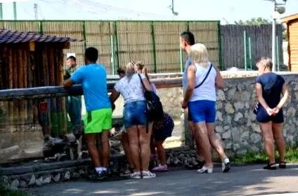 градина дивееше