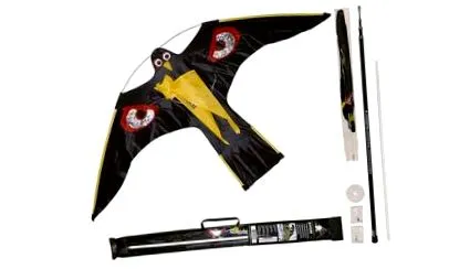 hawk kite