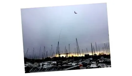 teleszkópos falcon