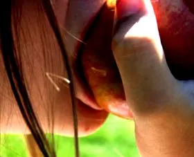 canker