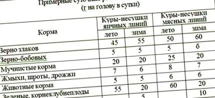 годувати