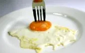 fehérjetartalmú
