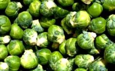 gazdag