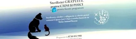 állat