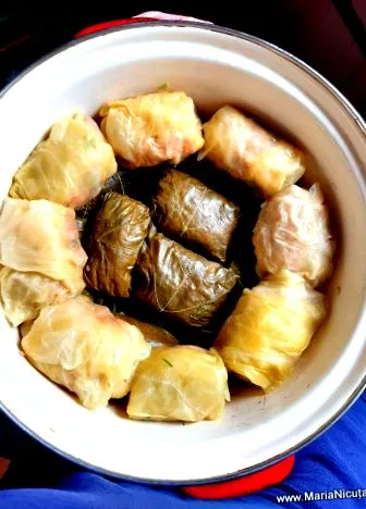 emésztést fermentált
