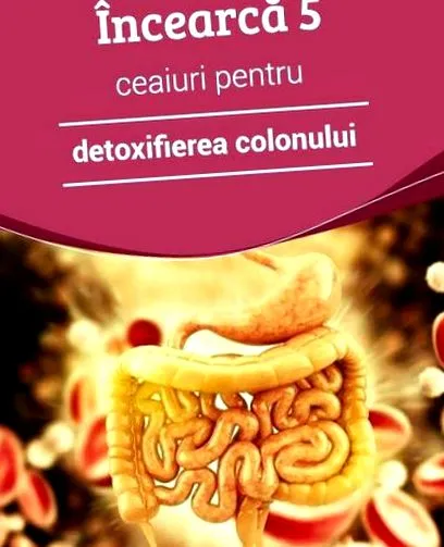 foods colon