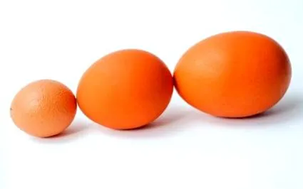 dajú
