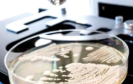 candidiasis megelőzésére candidiasis megelőzésére