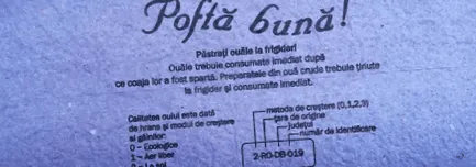 избегнуваат треба