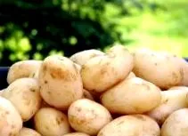 Egyéb információ