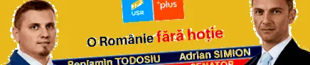 hatékony