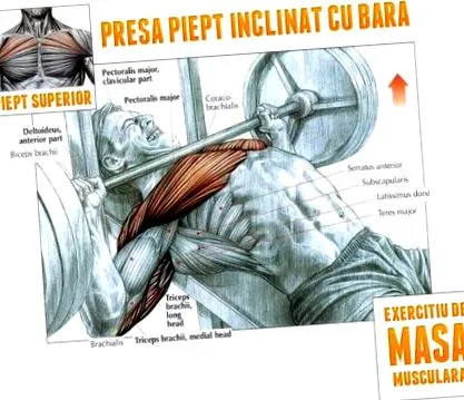 исхрана тренинг