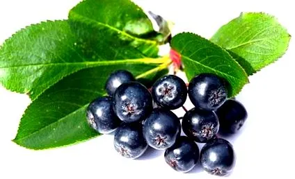 szuper aronia