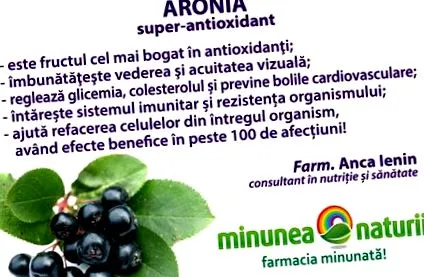 szuper aronia