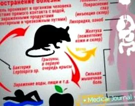 ознаки дітей