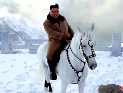 публично word