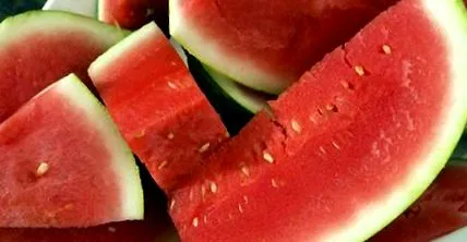 Dieting Femina Dieting Femina