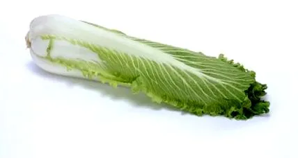 градина зеле